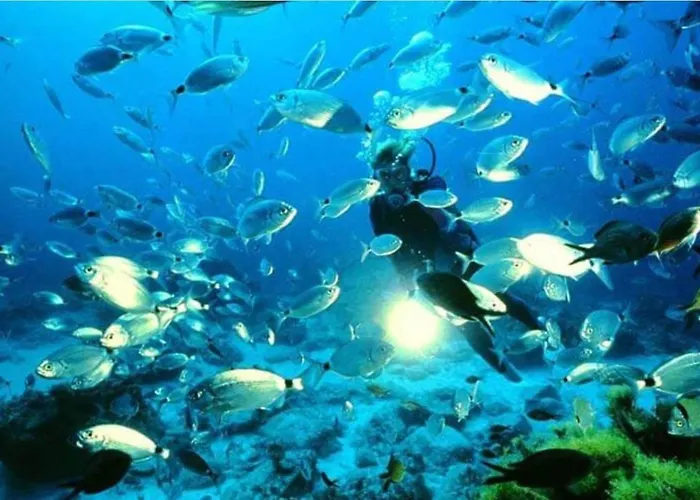 Estudio Jimena Calahonda En El Centro De Nerja