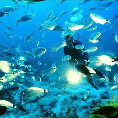 Estudio Jimena Calahonda En El Centro De Nerja